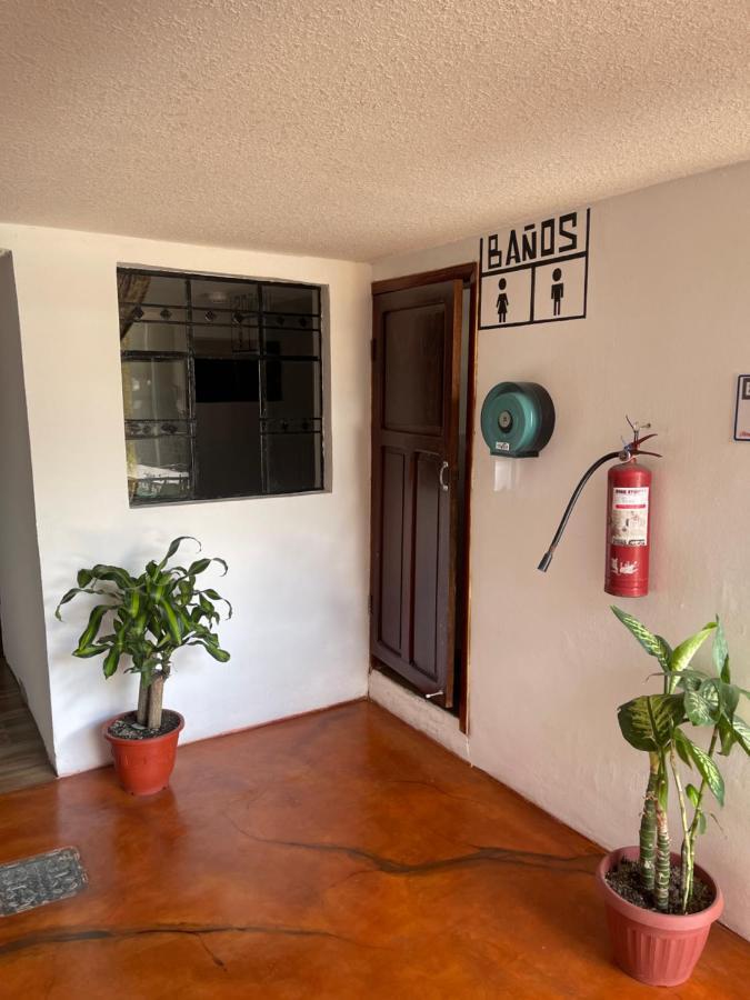 El Jardin Escondido Party Hostel 巴尼奥斯 外观 照片